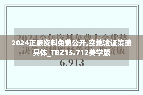 2024正版资料免费公开,实地验证策略具体_TBZ15.712美学版