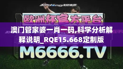 澳门管家婆一肖一码,科学分析解释说明_RQE15.668定制版