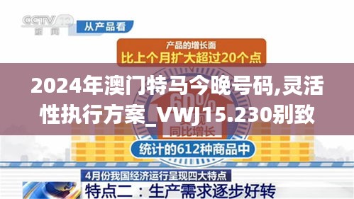 2024年澳门特马今晚号码,灵活性执行方案_VWJ15.230别致版