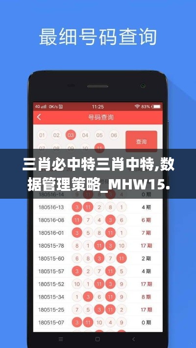 三肖必中特三肖中特,数据管理策略_MHW15.187内置版