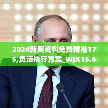 2024新奥资料免费精准175,灵活执行方案_WJX15.618儿童版