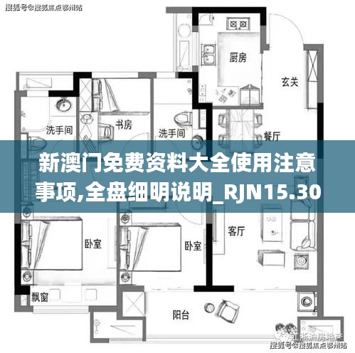 新澳门免费资料大全使用注意事项,全盘细明说明_RJN15.302精选版