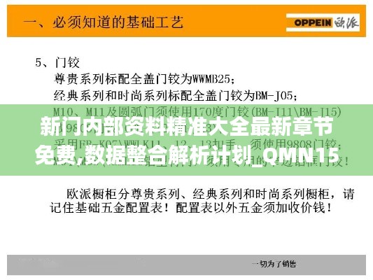 新门内部资料精准大全最新章节免费,数据整合解析计划_QMN15.972闪电版