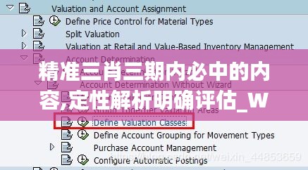 精准三肖三期内必中的内容,定性解析明确评估_WBJ15.346安全版