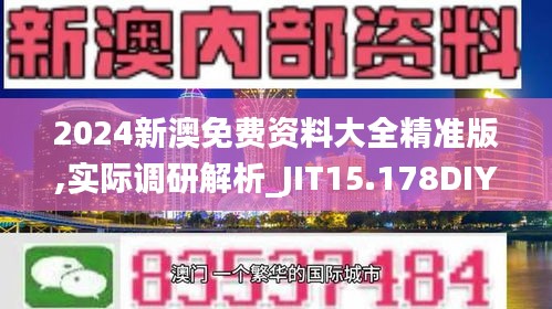 2024新澳免费资料大全精准版,实际调研解析_JIT15.178DIY工具版