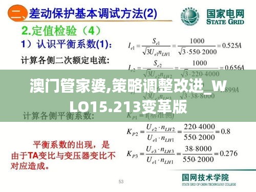 澳门管家婆,策略调整改进_WLO15.213变革版