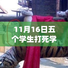 五个学生励志故事，学习改变命运，自信铸就辉煌——11月16日最新报道