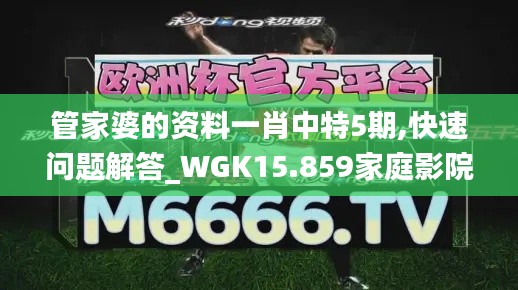 管家婆的资料一肖中特5期,快速问题解答_WGK15.859家庭影院版