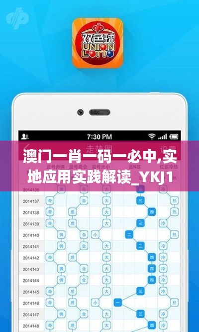 澳门一肖一码一必中,实地应用实践解读_YKJ15.441精选版