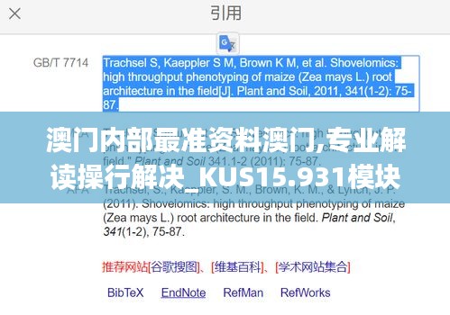 澳门内部最准资料澳门,专业解读操行解决_KUS15.931模块版