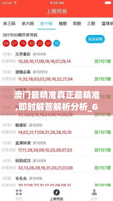 澳门最精准真正最精准,即时解答解析分析_GEU15.988游戏版