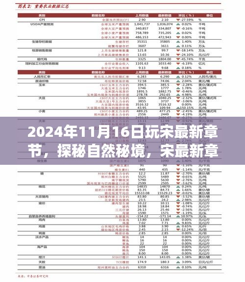 宋最新章节，探秘自然秘境，宁静之旅的2024年11月16日体验之旅