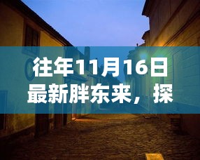 探秘往年11月16日胖东来的独特风味与小巷风情