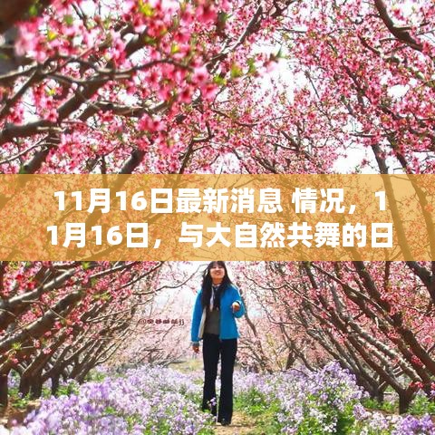 11月16日逃离都市，寻找内心的桃花源之旅