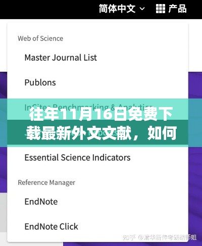往年11月16日免费下载最新外文文献攻略，详细步骤指南
