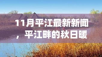 11月平江最新新闻，平江畔的秋日暖阳，十一月里的温馨日常与友情故事