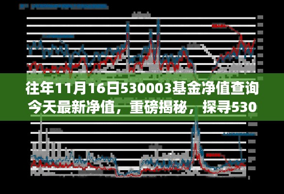 探寻揭秘，历年11月16日基金净值变迁，掌握市场地位的530003基金今日最新净值揭秘！