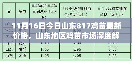 山东817鸡苗最新价格及市场深度解析报告发布，深度探讨山东鸡苗市场动态