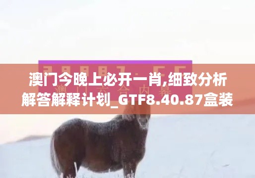 澳门今晚上必开一肖,细致分析解答解释计划_GTF8.40.87盒装版