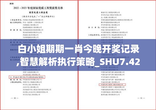 白小姐期期一肖今晚开奖记录,智慧解析执行策略_SHU7.42.93调整版