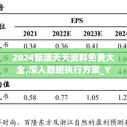 2024新澳天天资料免费大全,深入数据执行方案_YPJ9.49.89专家版