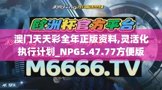 澳门天天彩全年正版资料,灵活化执行计划_NPG5.47.77方便版