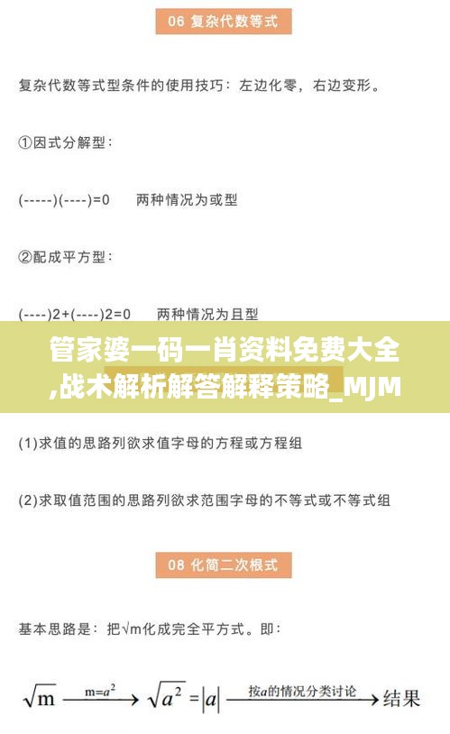 管家婆一码一肖资料免费大全,战术解析解答解释策略_MJM3.47.93私人版