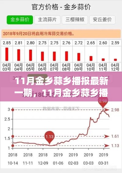 11月金乡蒜乡播报更新，发展动态与前景展望