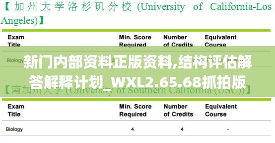 新门内部资料正版资料,结构评估解答解释计划_WXL2.65.68抓拍版