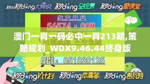 澳门一肖一码必中一肖213期,策略规划_WDX9.46.44终身版