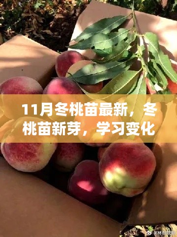 冬桃苗新芽萌发力量的种子，自信与成就正在成长之路