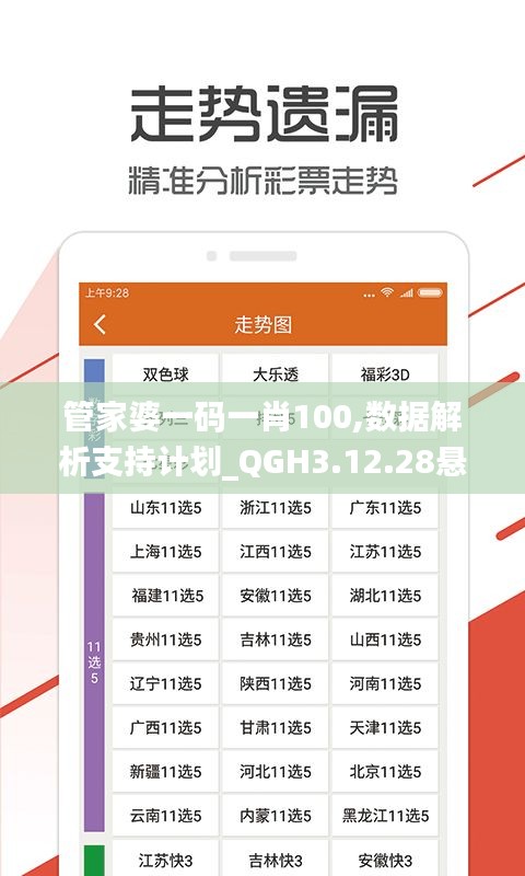 管家婆一码一肖100,数据解析支持计划_QGH3.12.28悬浮版