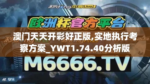 澳门天天开彩好正版,实地执行考察方案_YWT1.74.40分析版