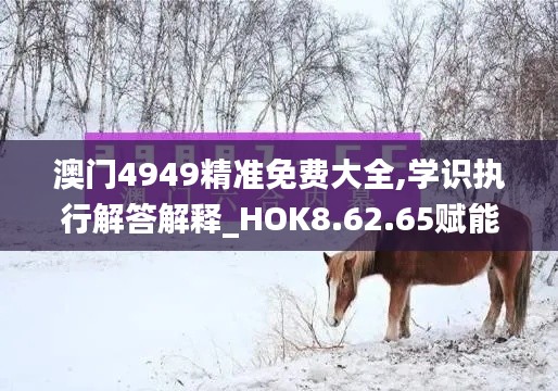 澳门4949精准免费大全,学识执行解答解释_HOK8.62.65赋能版