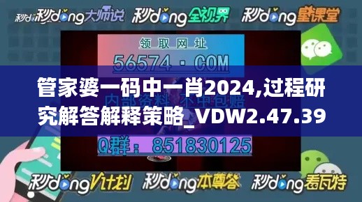 管家婆一码中一肖2024,过程研究解答解释策略_VDW2.47.39梦想版