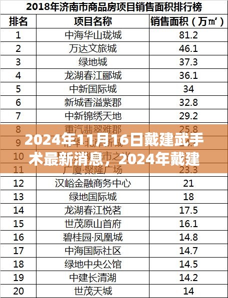 戴建武手术最新进展，前沿科技与医疗融合案例解析