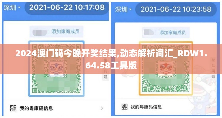 2024澳门码今晚开奖结果,动态解析词汇_RDW1.64.58工具版