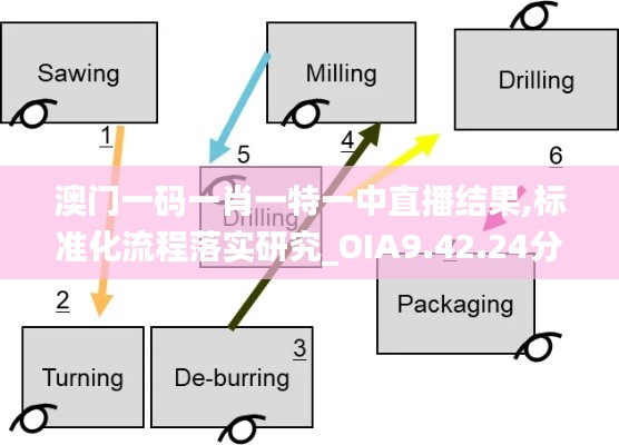 澳门一码一肖一特一中直播结果,标准化流程落实研究_OIA9.42.24分析版