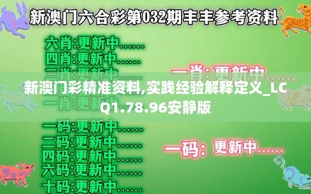 新澳门彩精准资料,实践经验解释定义_LCQ1.78.96安静版