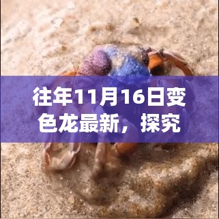 揭秘往年11月16日变色龙现象，最新视角与观点分析