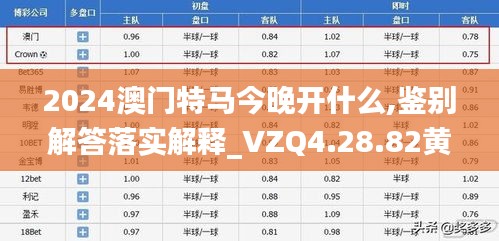 2024澳门特马今晚开什么,鉴别解答落实解释_VZQ4.28.82黄金版