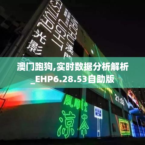 澳门跑狗,实时数据分析解析_EHP6.28.53自助版