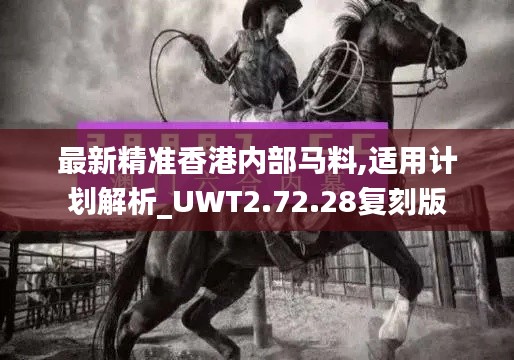 最新精准香港内部马料,适用计划解析_UWT2.72.28复刻版