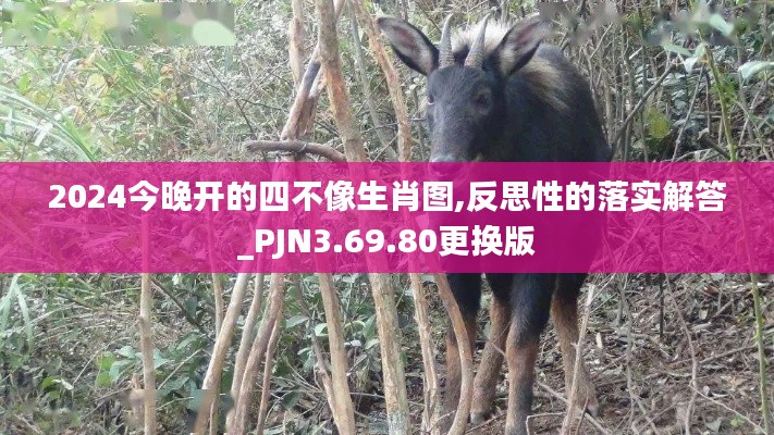 2024今晚开的四不像生肖图,反思性的落实解答_PJN3.69.80更换版