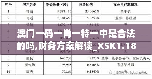 澳门一码一肖一特一中是合法的吗,财务方案解读_XSK1.18.92习惯版