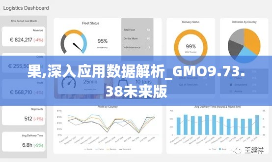 果,深入应用数据解析_GMO9.73.38未来版