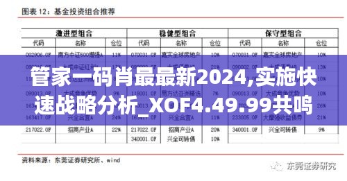 管家一码肖最最新2024,实施快速战略分析_XOF4.49.99共鸣版