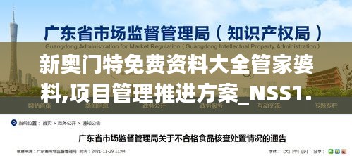 新奥门特免费资料大全管家婆料,项目管理推进方案_NSS1.53.84通玄境