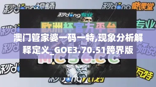 澳门管家婆一码一特,现象分析解释定义_GOE3.70.51跨界版