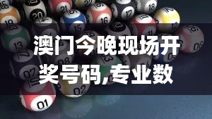 澳门今晚现场开奖号码,专业数据解释设想_XZH1.56.24奢华版